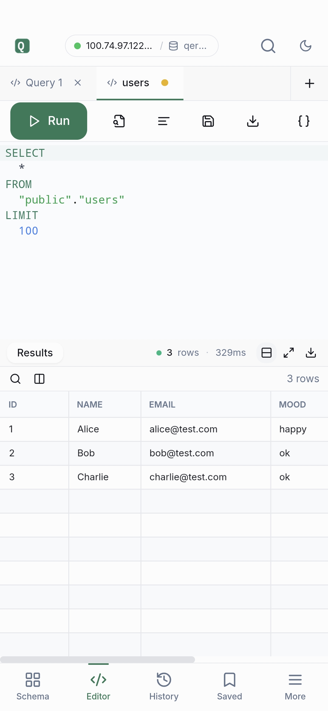 Mobile query results over Tailscale